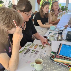 DIY planting design, October/November short course
